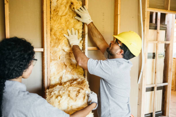Best Wall Insulation Contractor  in Bridgeport, AL