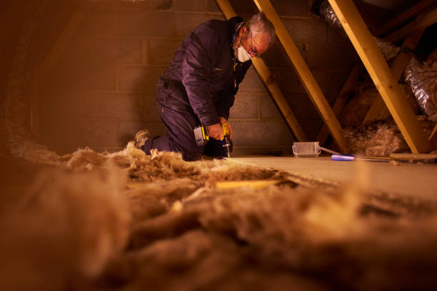 Attic Insulation Near Me in Bridgeport, AL